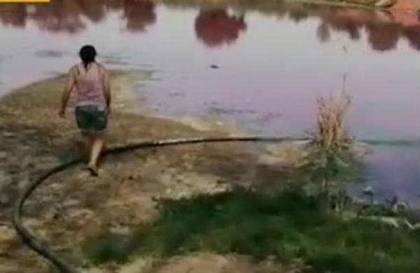 Laguna contaminada en Limpio: Allanaron curtiembre - C9N