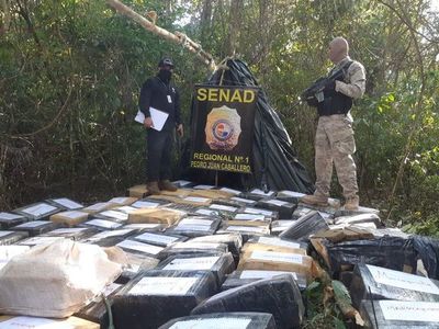 Incautan en Capitán Bado cerca de tres toneladas de marihuana “marroquí” - Nacionales - ABC Color