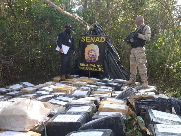 Incautan en Capitán Bado cerca de tres toneladas de marihuana “marroquí” - Nacionales - ABC Color