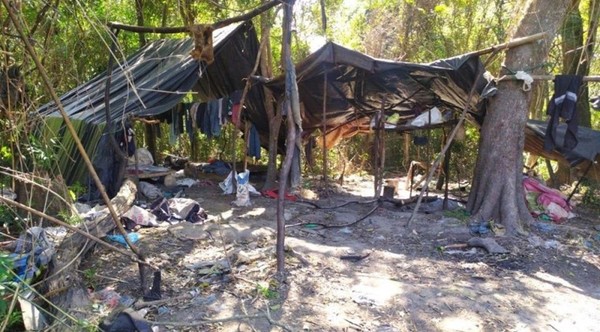 Destruyen más de 15 toneladas de marihuana en Carayaó