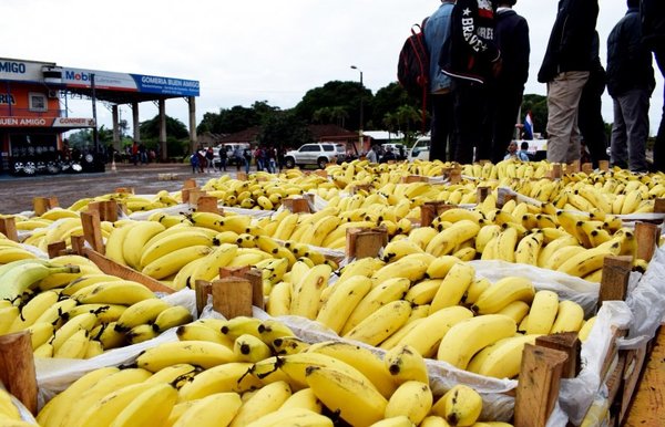 Tembiapora: Productores de bananas, satisfechos con gestión de Ministerio de Agricultura