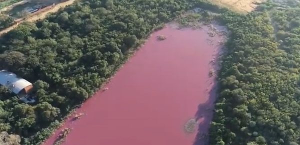 Laguna Cerro: Contaminación se dio en 3 meses, dice comuna y Fiscalía indaga otros posibles contaminantes - Nacionales - ABC Color