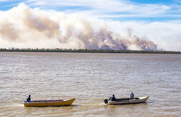 La sequía e incendios apeligran los humedales y caudal del río Paraná - Mundo - ABC Color