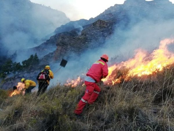 Un incendio forestal deja ocho muertos en Perú