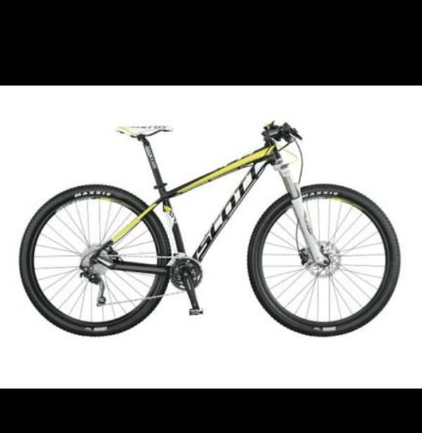 JOVEN PIDE AYUDA PARA RECUPERAR BICI ROBADA