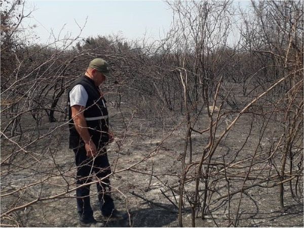 Alertan peligro extremo de incendios en franja ribereña del Pantanal paraguayo