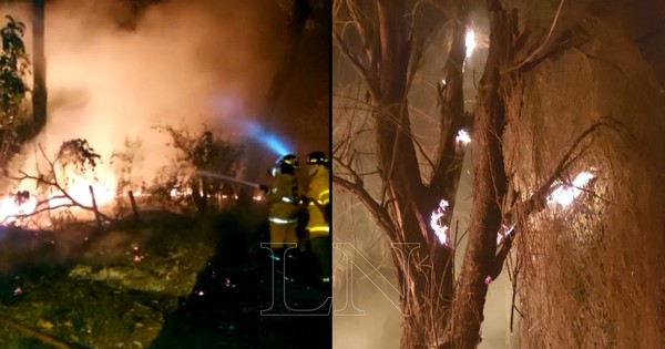 Bomberos logran controlar incendio que consumió dos baldíos en Lambaré