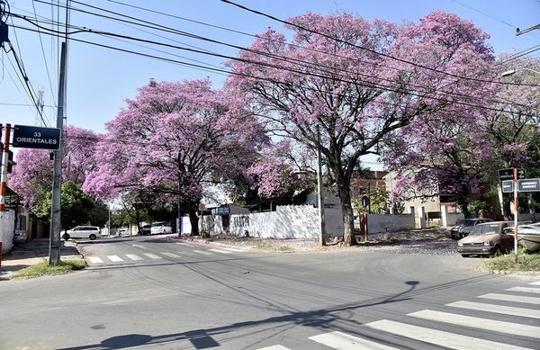 Regalo de la naturaleza - Nacionales - ABC Color