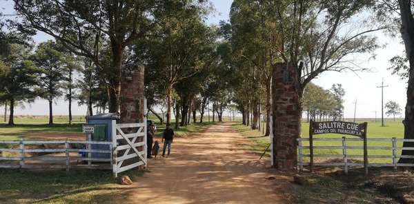 GRAL. ARTIGAS: ASALTAN ESTANCIA Y AMENAZAN A CAPATAZ PARA QUE ABANDONE EL LUGAR