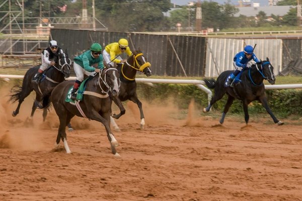 El turf retorna en modo COVID-19, sin público