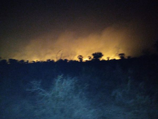 No paran los incendios forestales en el Alto Paraguay - Nacionales - ABC Color