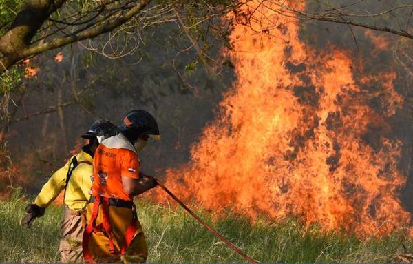 Alerta en el Pantanal: Temen propagación de incendios en el Chaco