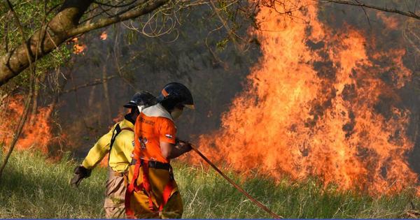 Alerta en el Pantanal: Temen propagación de incendios en el Chaco