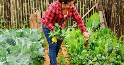Mujeres emprendedoras de Tekoporã acercan productos orgánicos hasta la casa