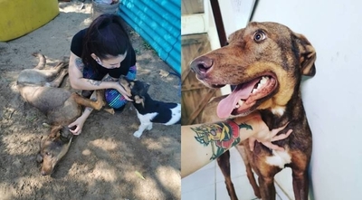 HOY / Rescate de animales: cuando el amor y la convicción son más fuertes que cualquier adversidad
