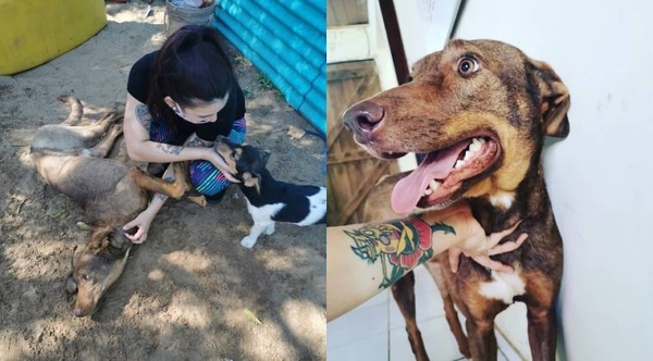 HOY / Rescate de animales: cuando el amor y la convicción son más fuertes que cualquier adversidad