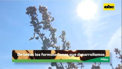 Abc Rural: Control de malezas de hojas finas y hojas anchas - ABC Rural - ABC Color