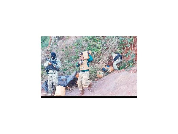 Incautan más de 670 kg de marihuana