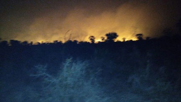 Incendios forestales arrasan  estancias en el Alto Chaco - Nacionales - ABC Color