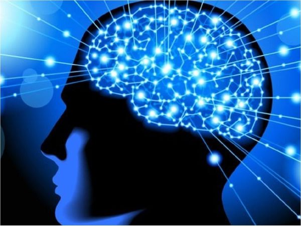 Distintas ondas combinan recuerdos e información en el cerebro
