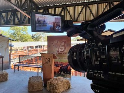 Bpecuaria volvió a colocar el 100% de la oferta en feria de invernada