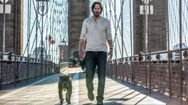 Confirman quinta película de John Wick