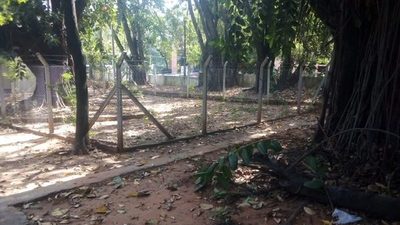 Colegio en estado de abandono  sobre la avenida Mcal. López