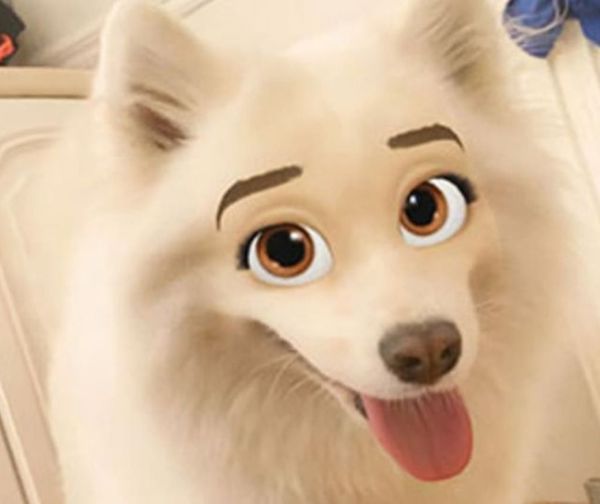 Snapchat estrena divertido filtro para perros