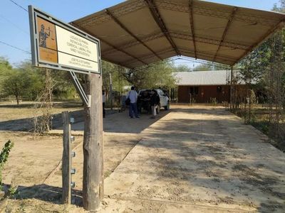 Empresario deberá reparar e indemnizar deforestación ilegal en el Chaco - Nacionales - ABC Color