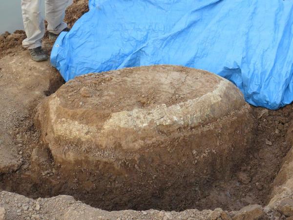 Restos fósiles hallados en el Chaco forman parte del patrimonio cultural del país