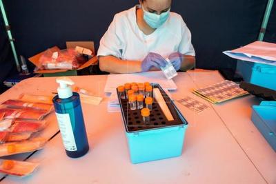 ¿Falta verificar, es segura, está calificada? La postura de la OMS sobre la vacuna contra el coronavirus, anunciada por Rusia - Megacadena — Últimas Noticias de Paraguay