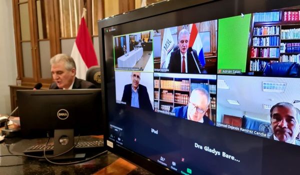 Caso Alexa: Cada uno debe definir si se inhibe, afirma Salas - Nacionales - ABC Color