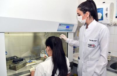 Rol del veterinario en la sociedad va más allá que curar animales - Nacionales - ABC Color