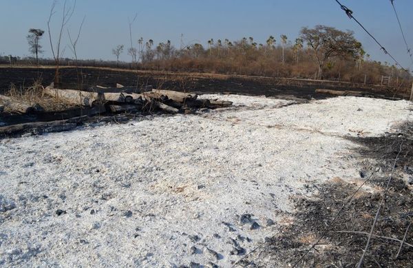 Incendio forestal arrasa con varios establecimientos del Alto Paraguay - Nacionales - ABC Color
