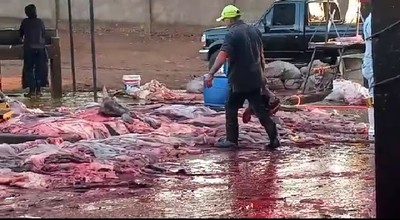Clausuran matadero municipal de Pedro Juan Caballero » Ñanduti