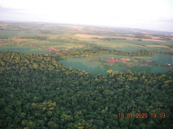 EMPRESARIO DEBERÁ REFORESTAR 1.860 HECTÁREAS PARA NO IR A JUICIO