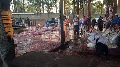 Imputan a funcionarios de salubridad y mas tres funcionarios del matadero
