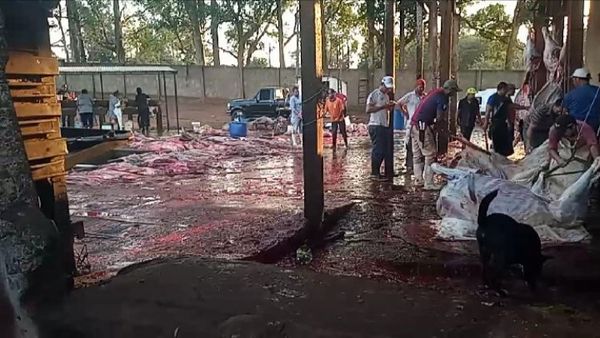 Imputan a funcionarios de salubridad y mas tres funcionarios del matadero