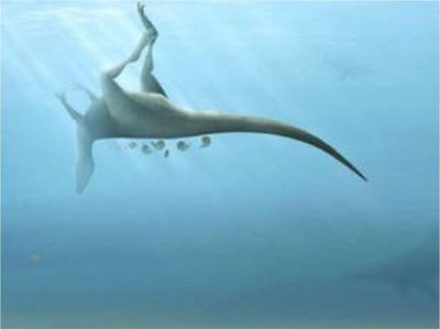 Descubren una nueva especie de dinosaurio en Inglaterra