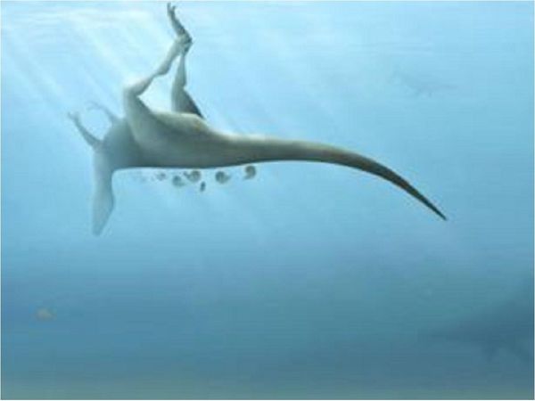 Descubren una nueva especie de dinosaurio en Inglaterra