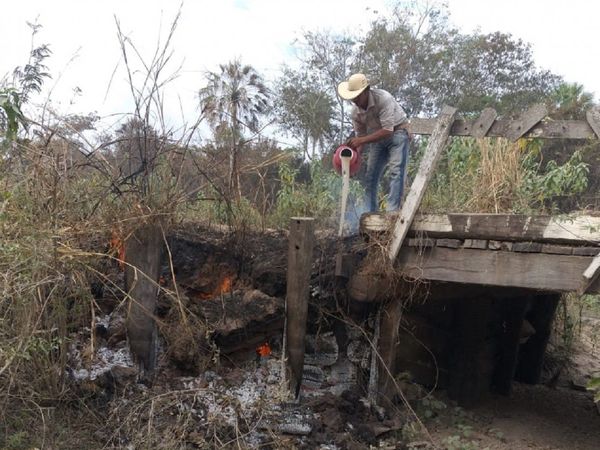 Incendio forestal quema un puente de madera en zona del Pantanal