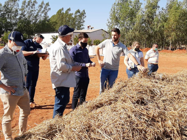 Empresa beneficiada por Ministro, fracasa en cultivo de cáñamo y pone en riesgo el año agrícola