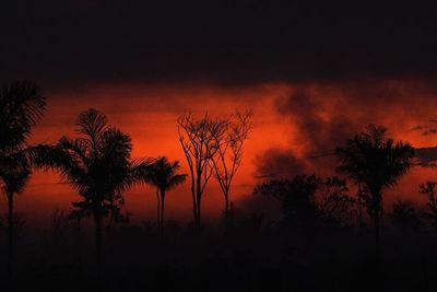Bolsonaro dice que es “mentira” que incendios estén arrasando parte de Amazonía - Mundo - ABC Color