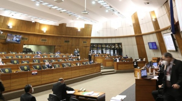 Diputados aprueba veto parcial del Ejecutivo que anula facturas de ANDE y ESSAP