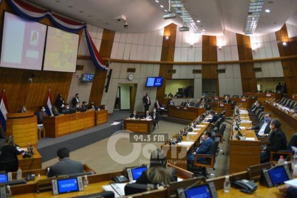 Diputados acepta veto a anulación de facturas de servicios