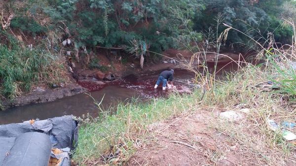 Denuncian que matadería arrojó de nuevo sangre al arroyo San Lorenzo - Nacionales - ABC Color