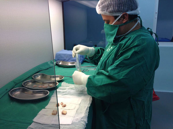 Más de 50 personas se convirtieron en donantes de huesos y tejidos en el Hospital de Clínicas » San Lorenzo PY