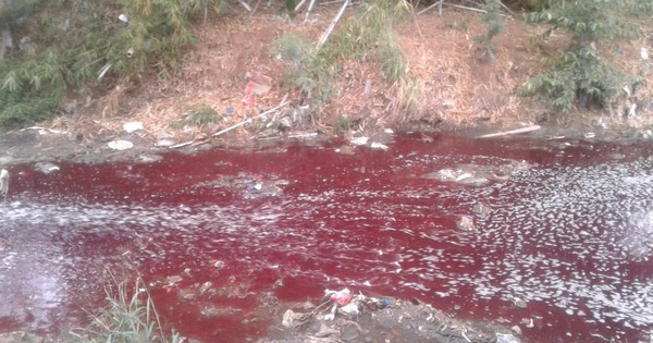Verifican arroyo tras viralizarse algunas imágenes