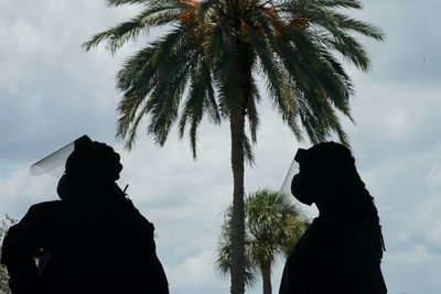 Un jefe policial de Florida prohíbe a sus agentes usar tapabocas - Mundo - ABC Color