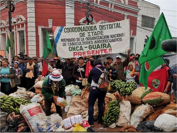 La agricultura campesina perdió 166.347 ha. en los últimos años